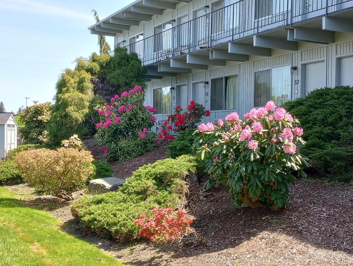 Cocusa Motel Burlington Extérieur photo